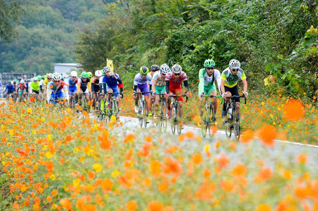 第71回国民体育大会 自転車 優勝